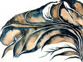 Coral 1 Original