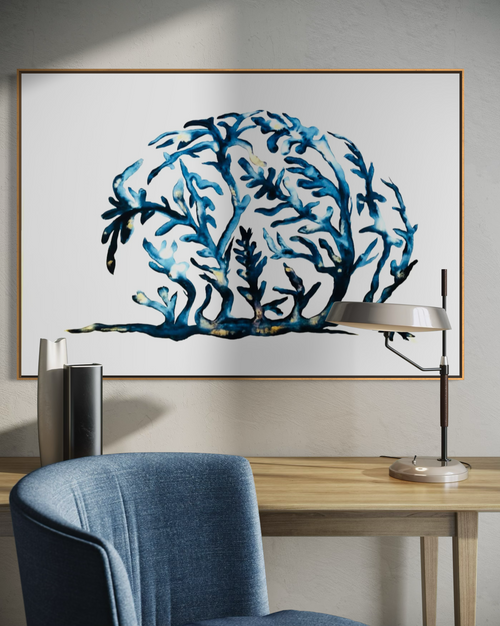 Coral